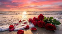 Romantic red roses scattered on sandy beach at sunset with ocean waves and dramatic pink sky creating perfect love scene.