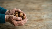Senior man with wrinkled hands holding walnuts in shell on wooden surface. Suitable for health, nutrition, organic food, and elderly lifestyle content.