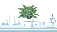 Laboratory workspace with green plant in white pot surrounded by scientific glassware, test tubes and microscope on clean bench for research experiments.
