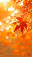 Vibrant red maple leaves against golden bokeh background with soft sunlight filtering through autumn foliage, creating dreamy seasonal atmosphere.