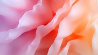 Soft flowing abstract waves in pink, coral and orange create gentle organic curves and gradients, suitable for wellness and spa backgrounds.