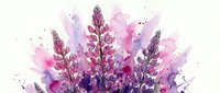 Pink and purple lupine flowers with watercolor splashes and ink splatters on white background, isolated botanical artwork for design projects.