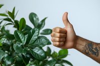 Tattooed arm showing thumbs up gesture against green plant background, expressing positivity and approval in modern lifestyle setting.