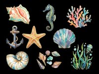 Watercolor ocean and sea life elements isolated on transparent background, ready for t-shirt design, clipart, stickers, sublimation and print-on-demand projects.
