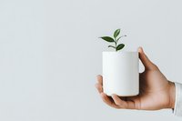 Small green plant sprout growing from white ceramic mug held by hand against light background, representing growth, sustainability and new beginnings.