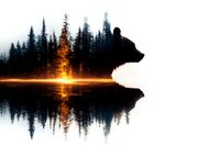 Double exposure silhouette of bear head merged with misty forest landscape and sunset reflection in calm lake water, creating dramatic wilderness scene.