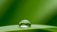 Crystal clear water droplet resting on vibrant green leaf surface with soft natural bokeh background for environmental and nature concepts.