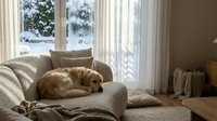 Golden retriever dog sleeping peacefully on beige sofa in cozy living room with winter view through window creating warm domestic atmosphere.