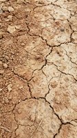 Cracked, parched earth with deep fissures and dry soil texture, ideal for drought, climate change, environmental degradation, and sustainability concepts.