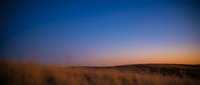 Stunning twilight sky with vibrant purple and orange hues over golden grassland prairie landscape during sunset hour creating peaceful natural scenery.