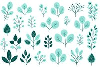 Delicate botanical elements in mint and dark teal colors perfect for surface pattern design, wedding stationery, and digital scrapbooking. Hand drawn floral shapes on white background.