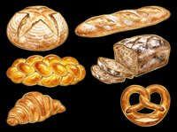 Assorted fresh baked bread and pastries isolated on transparent background. Includes round loaf, baguette, braided loaf, sliced bread, croissant and pretzel. Ready for bakery designs, menus, clipart and print projects.