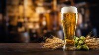 Fresh golden beer in tall glass with wheat stalks and hops on wooden table against blurred brewery background for oktoberfest celebration and craft brewing.