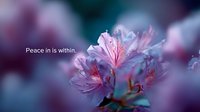 Delicate pink blossoms with soft petals against blurred teal background create dreamy spring atmosphere, macro photography showcases intricate floral details.