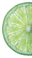 Fresh lime slice with water droplets isolated on white background, showing detailed citrus segments and vibrant green color suitable for food and beverage design projects.