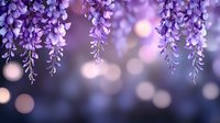 Cascading purple wisteria flowers on blurred bokeh background with soft pink and violet tones create dreamy spring atmosphere for romantic designs.