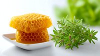 Fresh honeycomb pieces on white ceramic plate with green herbs, natural organic raw honey product on bright background, healthy food concept.