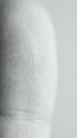 Close-up macro view of human fingerprint showing detailed ridge patterns and unique biometric identification marks for security and forensic applications.