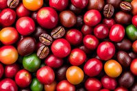 Fresh coffee cherries and roasted beans in vibrant red, orange and green colors create natural pattern on dark background, macro food photography.