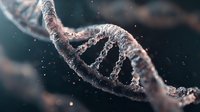 DNA double helix structure with detailed molecular bonds and particles, scientific genetics research concept for biotechnology and medical studies.