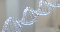 Transparent DNA double helix structure with detailed molecular bonds and genetic information strands for scientific research and biotechnology applications.