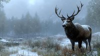 Majestic red deer stag with large antlers standing in misty winter forest landscape during snowfall, frost covered ground and atmospheric foggy background.