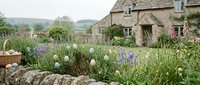 English countryside cottage garden with stone wall, purple lavender, white alliums and mixed perennials creating charming rural landscape for home design projects.