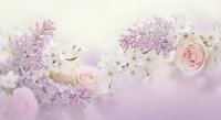 Delicate spring arrangement with soft pink roses and purple lilac blossoms on dreamy pastel background for romantic wedding and feminine design projects.
