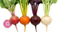 Fresh organic beetroot varieties with colorful stems and leaves isolated on white background for healthy cooking and nutrition concepts.