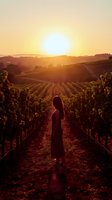 Woman standing in vineyard rows at golden hour sunset, silhouetted against bright sun with rolling hills and grapevines. Wine country landscape for travel, agriculture, and lifestyle use.