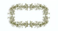 Elegant olive branch wreath frame with delicate green leaves on white background, isolated botanical border for wedding invitations and organic design projects.