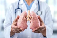 Medical professional in white coat holding anatomical model of human lungs showing respiratory system structure and bronchial airways for healthcare education.