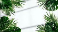 Tropical palm leaves and monstera foliage frame on white background with shadow overlay creating natural border for summer vacation design projects.