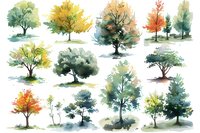 Beautiful watercolor collection of seasonal trees showing nature transitions, perfect for greeting cards, wall art and botanical illustrations. Artistic hand painted forest elements.