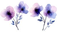 Delicate purple watercolor flowers with soft pink petals and blue leaves on white background, perfect for wedding invitations and feminine designs.