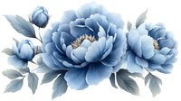 Blue watercolor peonies with leaves isolated on transparent background for wedding invitations, greeting cards, scrapbooking and floral design projects.