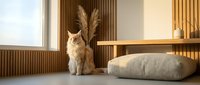 Orange tabby cat sitting in modern minimalist living room with wooden furniture, natural lighting and neutral tones creating cozy domestic atmosphere.