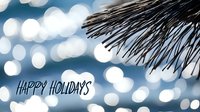 Festive holiday greeting card with palm frond silhouette against sparkling bokeh lights and handwritten text on blue winter background.