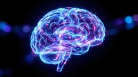 Glowing digital brain with electric neural pathways and synaptic connections on dark background for medical technology and artificial intelligence concepts.