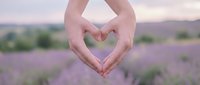 Two hands forming a heart shape against a blurred lavender field background, symbolizing love, nature, and romance in soft purple tones.