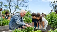Senior Caucasian grandfather teaching young mixed-race grandchildren vegetable gardening in raised beds outdoors on sunny day.