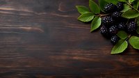 Fresh ripe blackberries with green leaves arranged in corner on dark wooden rustic background with copy space for text or design elements.