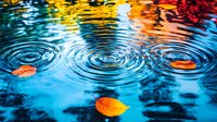 Autumn leaves floating on rippling water surface with concentric circles creating mesmerizing patterns against vibrant blue reflections and colorful fall foliage.