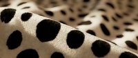Closeup of cream and black polka dot fabric texture with soft folds and natural lighting, suitable for fashion, textile, and design projects.