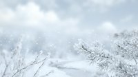 Winter landscape with snow-covered pine branches and falling snowflakes against cloudy sky creating peaceful seasonal atmosphere for holiday designs.