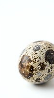 Speckled quail egg isolated on white background, showing natural brown and black markings typical of game bird eggs used in culinary applications.