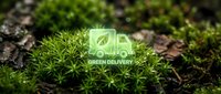 Green delivery truck icon glowing on moss and soil, symbolizing eco-friendly logistics, sustainable transport, and environmental responsibility for green business concepts.