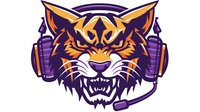 Headset on purple background, aggressive feline esports logo design with detailed tribal style illustration, isolated on white.