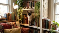 Siamese cat sitting on wooden shelf surrounded by vintage books, potted plants, and warm lighting in cozy home library setting, suitable for interior design and lifestyle content.