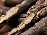 Dried tree bark texture in warm brown tones with rough surface and natural wood grain pattern showing organic layers and textures in macro photography.